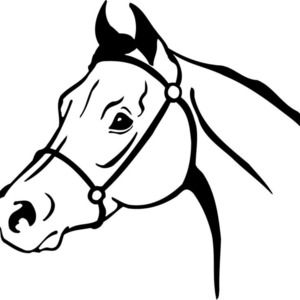 Meet your Posher, Elna